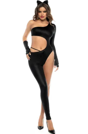 Sultry Panther Costume